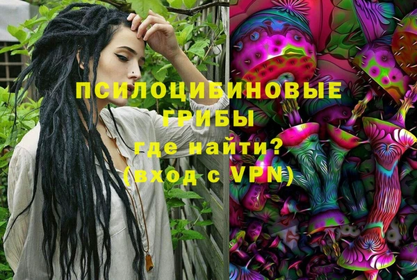 ALPHA PVP Заводоуковск
