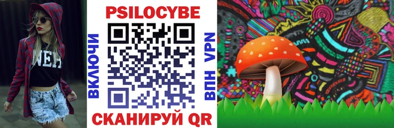 Купить где  Билибино  Галлюциногенные грибы Magic Shrooms 
